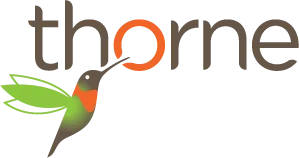 Thorne hummingbird logo featuring vibrant colors, modern design, and energetic branding.